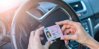 Person holding drivers license inside a car