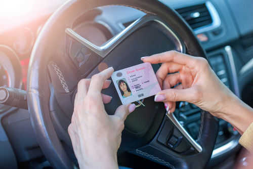driver-license1746486095jpg Person holding drivers license inside a car
