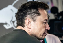 Musk Offers Lifeline to TSA as Government Falters elon musk