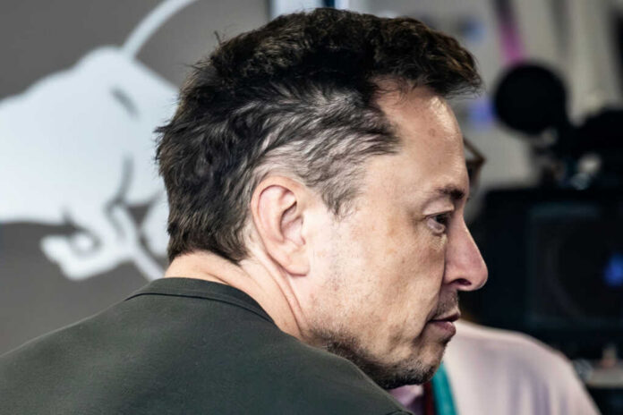elon musk
