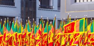 Group of individuals in traditional attire holding flags during a parade