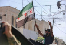 Person waving flag in protest or demonstration outdoors