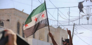 Person waving flag in protest or demonstration outdoors