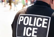 Massive Unrest: Senator Pepper-Sprayed at Protest Close-up of a police officer's back with a 'POLICE ICE' badge