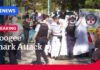 Coogee Panic: Swimmer Mauled, Beaches Closed Woman in critical condition after shark attack at Coogee Beach | ABC NEWS