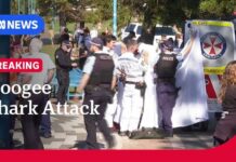 Woman in critical condition after shark attack at Coogee Beach | ABC NEWS