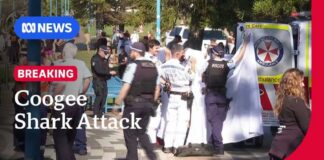 Woman in critical condition after shark attack at Coogee Beach | ABC NEWS