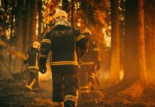 Firefighters walking through a smoky forest during a wildfire