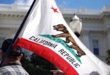 California Costs Explode — Runoff Shock California state flag being held up at an outdoor event