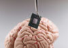 Tweezers holding a microchip above a human brain model