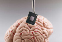 Tweezers holding a microchip above a human brain model