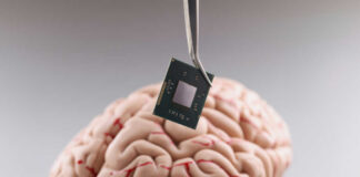 Tweezers holding a microchip above a human brain model