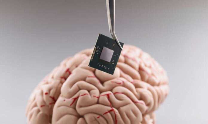 Tweezers holding a microchip above a human brain model