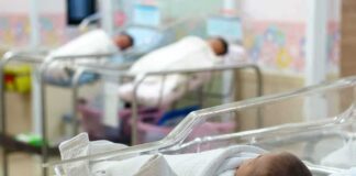 newborns in hospital bassinets