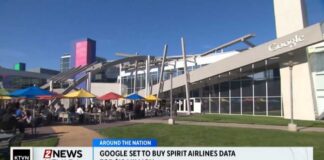 Google buying Spirit Airlines' data