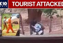 Arizona tourist attacked while hiking Havasu Falls | FOX 10 Phoenix