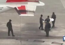 9-year-old flown to Miami after dog attack in Bahamas