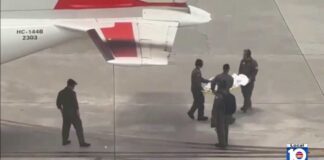 9-year-old flown to Miami after dog attack in Bahamas