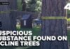 Nighttime Poisoner Haunts Private Beach Suspicious substance found at bases of 16 trees at Burnt Cedar Beach in Incline Village