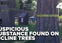 Nighttime Poisoner Haunts Private Beach Suspicious substance found at bases of 16 trees at Burnt Cedar Beach in Incline Village
