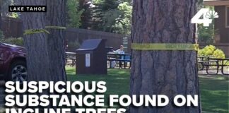 Suspicious substance found at bases of 16 trees at Burnt Cedar Beach in Incline Village