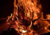 DC Culture War Stalls Fire Protection Dry pine branches burning in bright orange flames