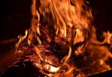 Dry pine branches burning in bright orange flames