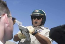 traffic officer writes a citation beside a vehicle