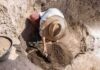 Home Renovation Uncovers Record Viking Hoard Archaeologist brushing soil in excavation pit