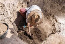 Home Renovation Uncovers Record Viking Hoard Archaeologist brushing soil in excavation pit