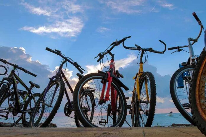 shutterstock_2129785166 Bicycles lined up by the seaside at sunset