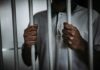 Global Predator Case Sealed in Paris Person gripping prison bars with both hands