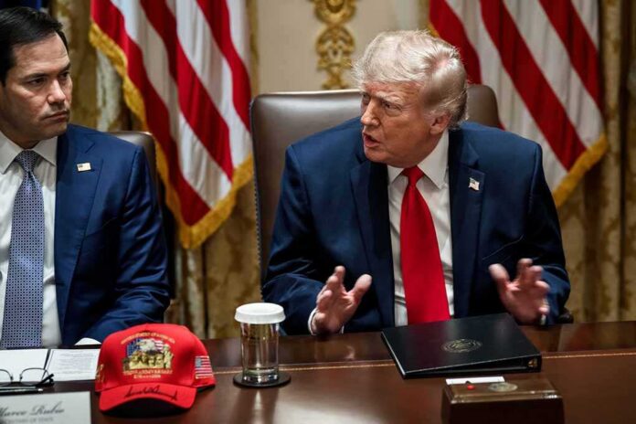 President,Donald,J.,Trump,Holds,A,Cabinet,Meeting,In,The Donald Trump speaks at a meeting table beside Marco Rubio
