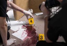 Racist Terror Rampage Shocks Paris forensic investigators documenting a bloodstained crime scene